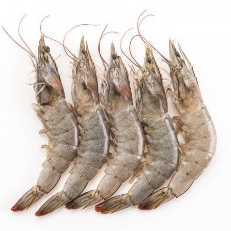 White Prawns
