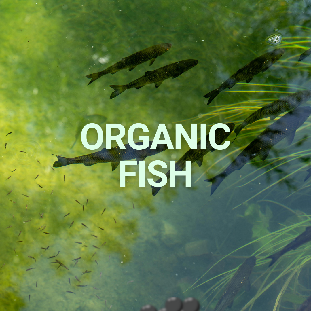 ORGANIC FISH