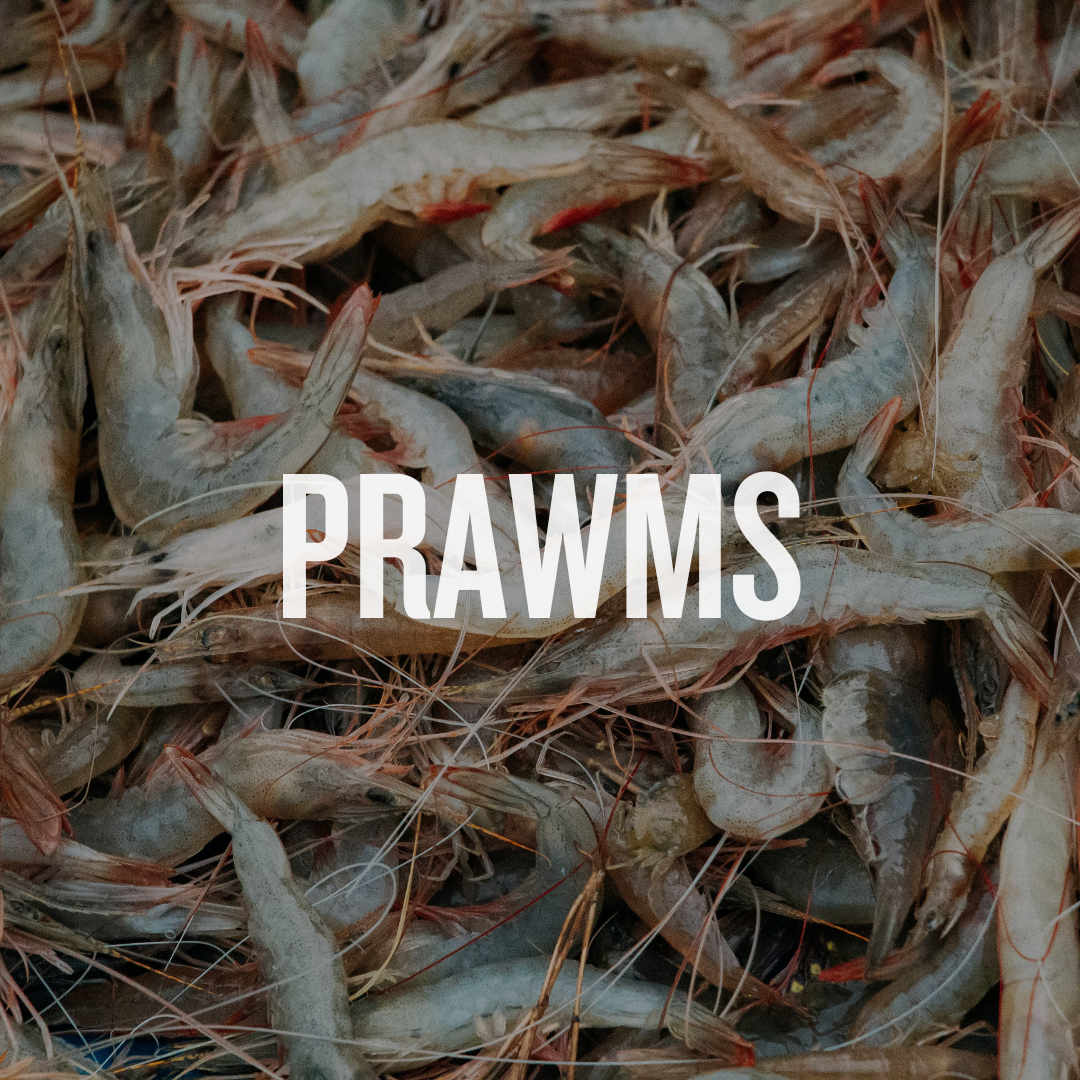 Prawns
